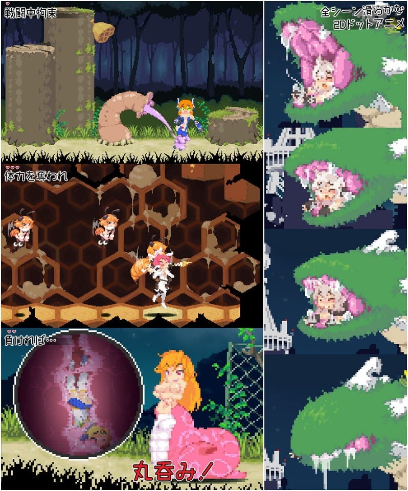 图片[2]-米莉亚战记DX Echidna Wars DX | V1.00 |日语-遇见萝莉