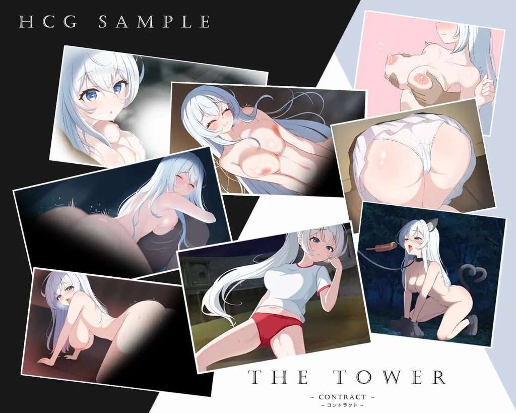 图片[1]-THE TOWER ～契约～ THE TOWER ～コントラクト～ | 官中-遇见萝莉